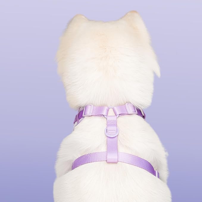 No Pull Dog Vest Harness for Small&Medium Dogs, Side Clip Adjustable Pet Vest, Soft Breathable, Fashion Dog Harnesses for Walking, Running, Shopping (Purple, S)
