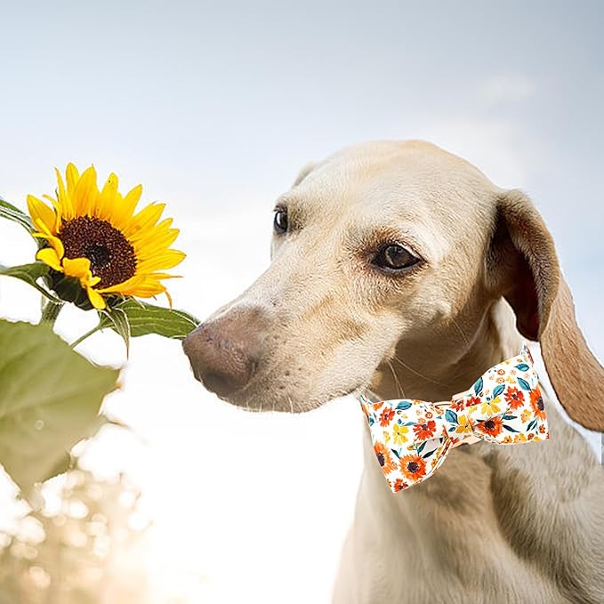 Lionheart glory Dog Collar Bow Collar Floral Dog Collar with Bow Tie Spring Summer Cute Collar Dog Boy or Girl Dog Collars Soft Durable Adjustable Dog Collars for Large Dogs, A:Gerbera