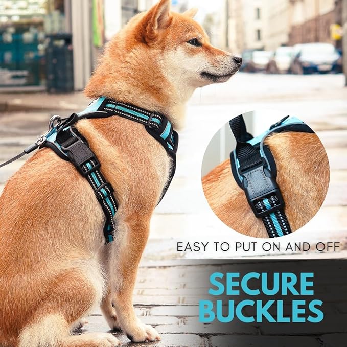 Ziggy Pet Dog Harness Adjustable Nylon Mesh Vest with Leash Clips (Blue, Extra Large)
