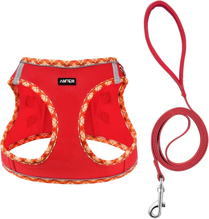 AMTOR Small Dog Harness with Leash Set, No Escape Easy Walk Puppy Harnesses for Training Walking, Step-in Reflective Soft Dogs Vest for XS S Medium Extra-Small Large Sized Dog(Red,XXS)