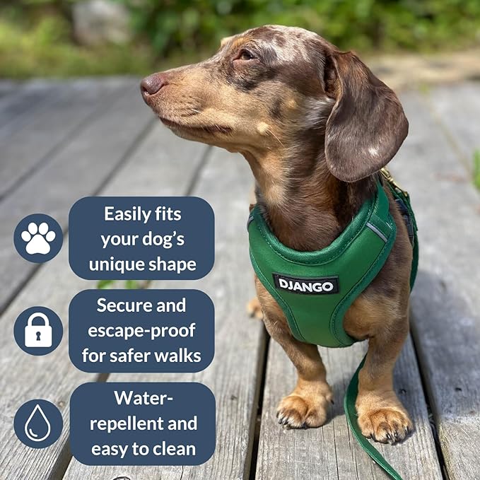 DJANGO Adventure Dog Harness - Stylish and Durable Medium Dog Harness for Outdoor Adventures and Everyday Wear - Forest Green Neoprene Adjustable Harness for Dogs with Reflective Piping, Brass D-Ring
