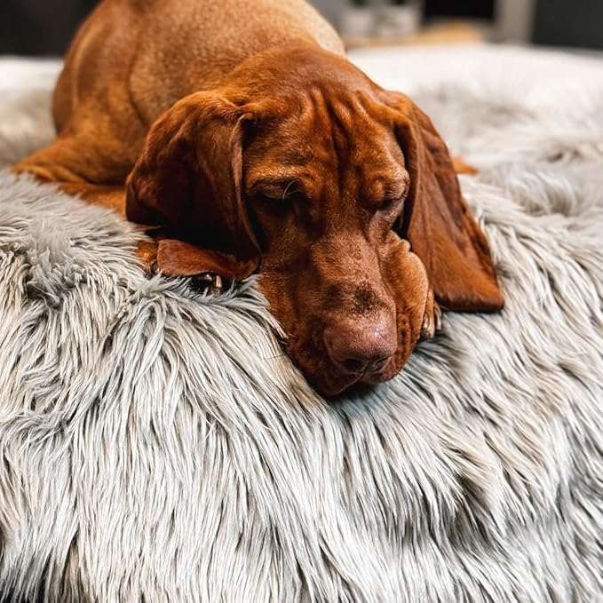 Waterproof Dog Blanket for Small, Medium & Large Dogs – Faux Fur Pet Throw for Couch, Sofa, Bed & Car – Soft, Washable, Stain-Resistant, Durable Cover – Grey – 80" x 60"