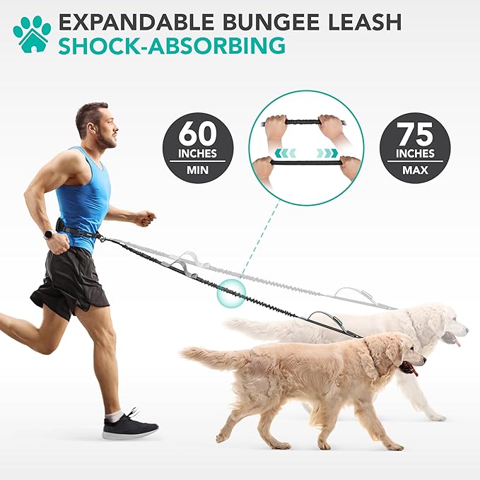 PetAmi Heavy Duty Hands Free Dog Leash, Adjustable Waist Belt for Large Dog Walking Up to 125 lbs, Bungee Leash for Pet Running, Hiking, Reflective Safety for Jogging, Biking, Grey Handle