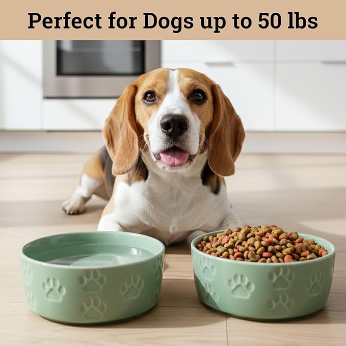 Ceramic Dog Bowl Set of 2 with Anti-Skid Base - 6.5" Wide x 2.5" Tall Ceramic Dog Bowls Medium Sized Dogs - 3.8 Cup Capacity Food and Water Bowls for Dogs - Rubber Bottom Pet Bowl Set of 2 Medium Size