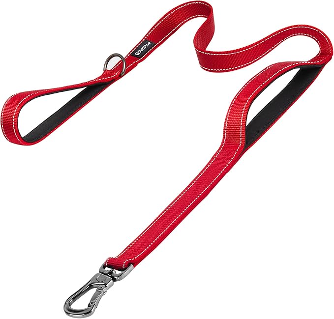 PetiFine 5FT Heavy Duty Dog Leash with Soft Padded Double Handle, Durable Strong Clasp Dog Leashes, Reflective Nylon Walking Lead for Large,Medium,Small Breed Dogs, Red