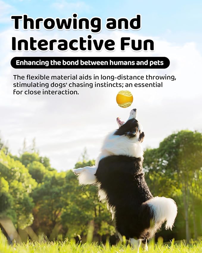 Dog Squeaky Chew Ball for Aggressive Chewers Food Grade TPR, Indestructible Design Dental Cleaning Toy, Anti Choking Fetch Ball for Small Medium Large Dog, Long Lasting Interactive Play Blu