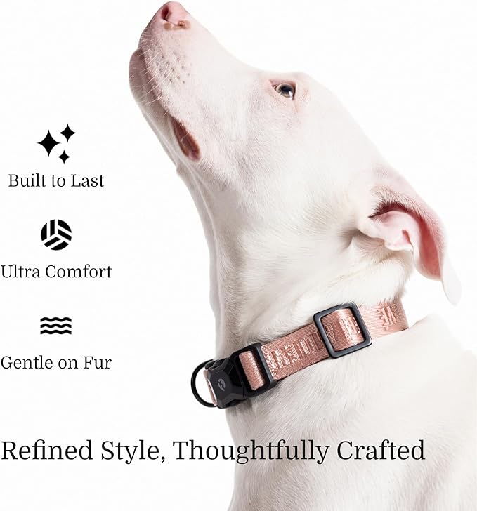 2026 New Edition, Fei & Eve MagEase Dog Collar - Patented Magnetic Buckles | Fur-Safe | Premium 210D Nylon | 450LB Escape-Proof | Adjustable Fit | Small (Blush)