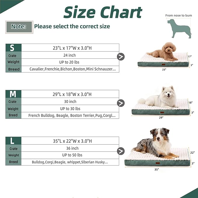 Orthopedic Dog Bed with Firm High-Density Egg Crate Foam Mattress,Machine Washable Cover & Non-Slip Bottom for Small Breeds & Toy Dogs (Green, 23" L x 17" W x 3" H)
