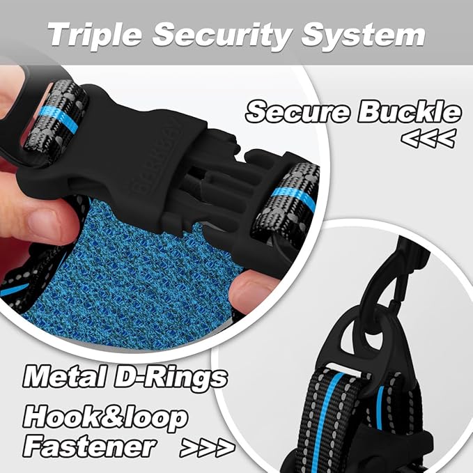 Dog Harness and Leash Set,Step in Small Sized Dog Harness,Soft Mesh,No-Chock,Reflective Adjustable,Secure with Hook & Loop Fastener,Puppy Vest for Small,Medium Dogs(Blue/Black,XXS)