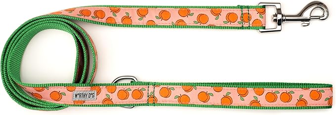 THE WORTHY DOG 5 FT Nylon Dog Leash for Small to Medium Dogs, Metal Quick Clip, Peachy Keen Pattern, Peach, Small