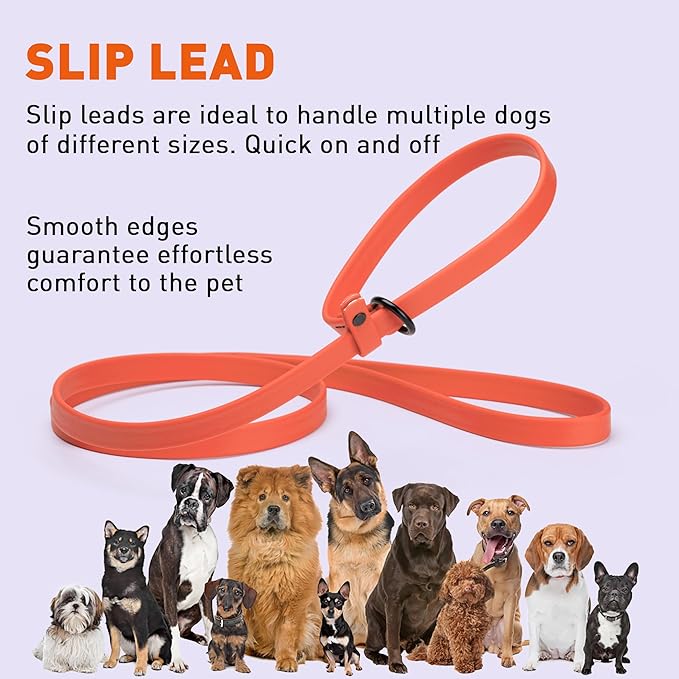 Dogline Biothane Slip Dog Leash - for Small, Medium and Large Dogs - Odor Free Slip Lead, Heavy Duty and Durable Material Kennel Lead - Coral - 5ft L x 5/8in W