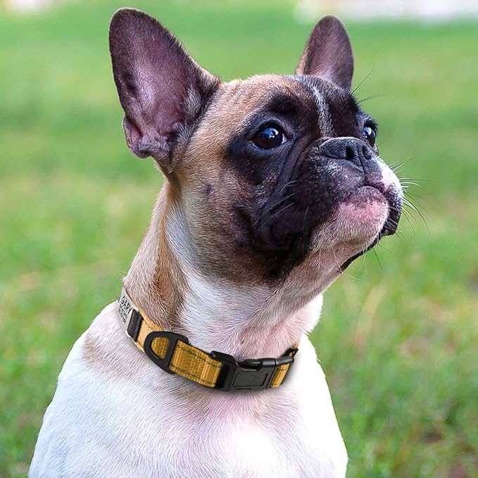 Joytale Personalized Dog Collars with Engraved Name Plate, Silent No Jingle Custom Nylon Collar with Fixed ID Tag, Reflective Soft Neoprene Padded Breathable for Puppy and XSmall Dogs, Tan