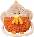 Aidiya Plush Squeaky Dog Toy with Crinkle Paper Interactive Rope Stuffed Animal Dog Plush Chewing Toy for Puppy Small and Medium Dogs (Orange)