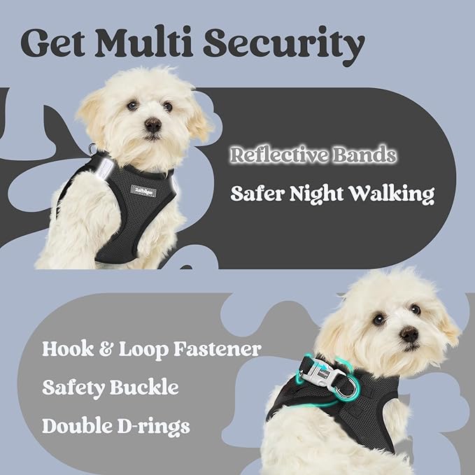 rabbitgoo Small Dog Harness, Step-in Soft Mesh Puppy Vest with Safety Buckle, Breathable Reflective Pet Harness for Extra Small Dogs, Black XXXS