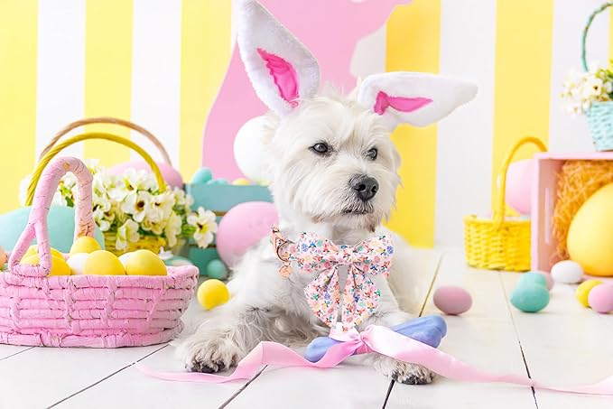 DOGWONG Easter Day Dog Collar-Cute Rabbit Easter Dog Collar with Bow, Cotton Eggs Dog Collars with Metal Buckle for Small Medium Large Dogs