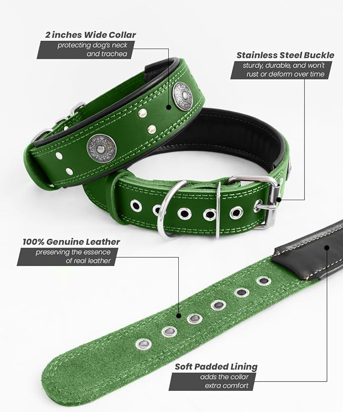 Leather Dog Collar, 2 inches Wide Heavy Duty Genuine Leather Collars, Handmade, Soft, and Luxury, Eye-catching Best Choice for Large and Medium Breed Dogs, Green 18.5-22.5 in