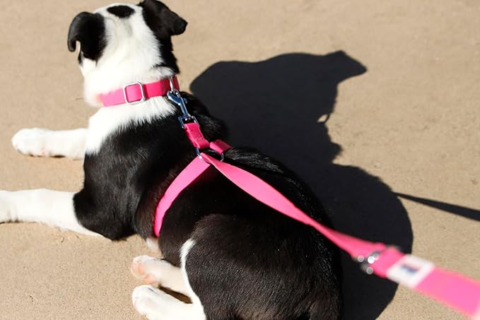 No-Pull Dog Leash, Chew Resistant, Waterproof, Durable PVC Material, Multiple Sizes and Colors (Pink, Small)
