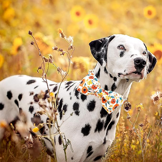 Lionheart glory Dog Collar Bow Collar Floral Dog Collar with Bow Tie Spring Summer Cute Collar Dog Boy or Girl Dog Collars Soft Durable Adjustable Dog Collars for Large Dogs, A:Gerbera