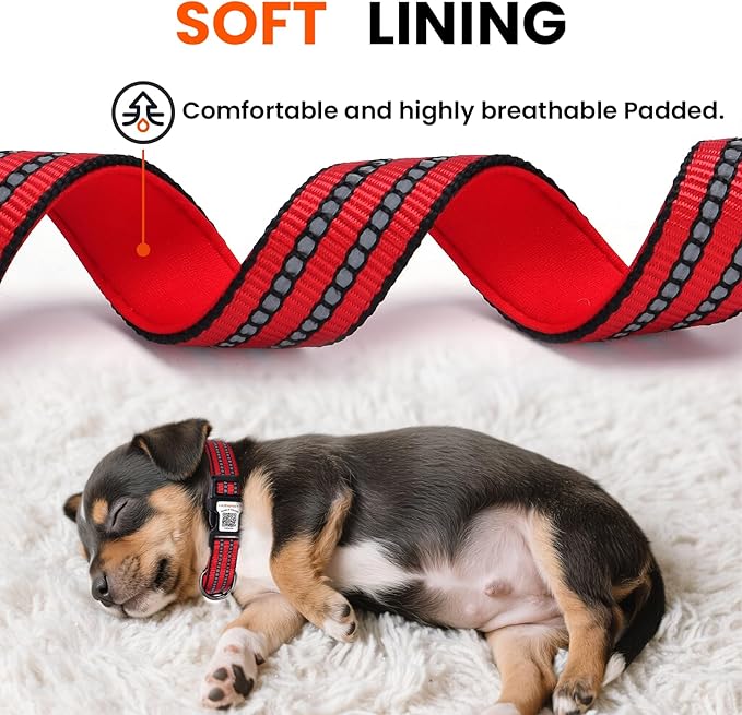 Reflective Dog Collar with QR Code Tag, Personalized Dog Collar, Safety Night Visibility, Anti-Loss Function (Red, Small)