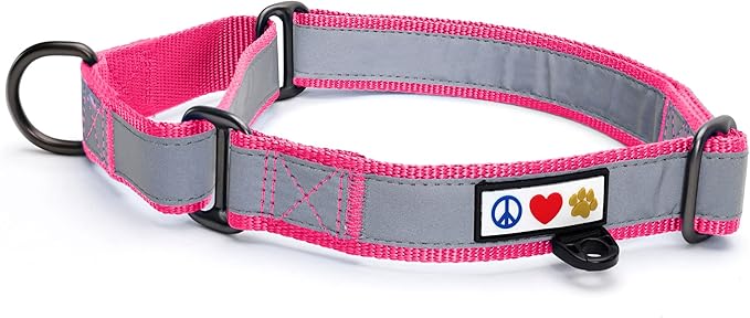 Pawtitas Personalized Dog Collar Martingale Dog Collar with Name Phone Number Reflective Martingale Dog Collar Customized Collar for Medium Dogs | Pink Custom Dog Collars for Medium Dogs