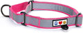Pawtitas Personalized Dog Collar Martingale Dog Collar with Name Phone Number Reflective Martingale Dog Collar Customized Collar for Medium Dogs | Pink Custom Dog Collars for Medium Dogs