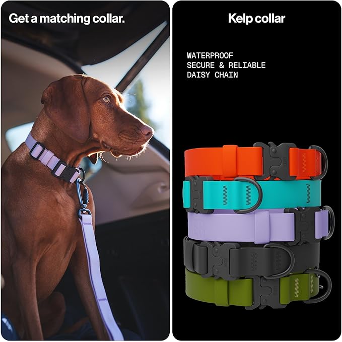 Säker Kelp™ Waterproof Dog Leash – Heavy Duty, Odor-Proof, Adjustable 4–6 ft Long Dog Leash with Twist-Lock Carabiner, 3 Traffic Handles, Hands-Free Option, Aluminum Hardware