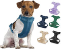 No Pull Lightweight Dog Harness: Adjustable Durable Breathable Mesh Pet Vest Harness with Soft & Comfortable Cushion, for Small Medium Large Dogs (Medium, Navy)