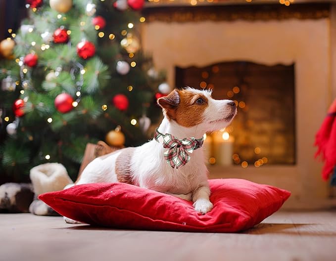 ARING PET Christmas Dog Collar, Cute Xmas Pet Collar with Sailor Bowtie Red and Green Plaid Bow Tie Collars with Metal Buckle for Puppy Small Medium Large Boy Girl Dogs-XL