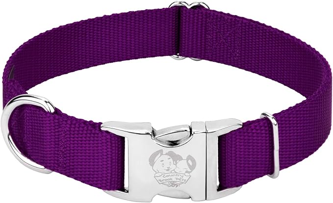 Country Brook Petz - Premium Nylon Dog Collar with Metal Buckle for Small Medium Large Breeds - 10+ Cool Colors (Large, 1 Inch, Purple)