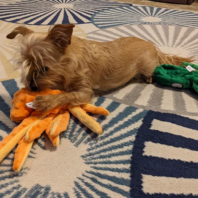 Dog Squeaky Toys Octopus, No Stuffing Crinkle Plush Dog Toys for Puppy Teething, Durable Interactive Dog Chew Toys for Small to Medium Dogs Training and Reduce Boredom (2 Pack)