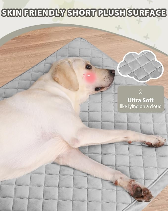 Orthopedic Dog Beds for Extra Large Dogs Waterproof with Removable Washable Cover and Non-Slip Bottom, 47x29 Inch, Light Gray