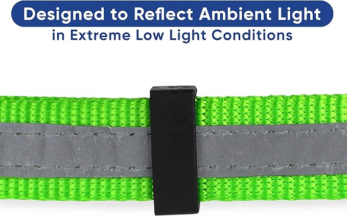 Pawtitas Martingale Dog Collar with Chain a Reflective Dog Training Collar for Medium Dogs | Nylon No Pull Dog Collar for Medium Dog - Green