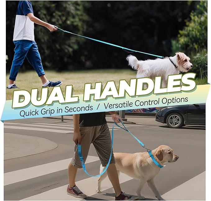 VIVAGLORY Twingrip Dog Leash, Double Handle Dog Leash for Training & Walking with Traffic Handle & 2 Loop, Traffic Control Reflective Heavy Duty for Puppy Pet, 6ft x 1in, Lake Blue