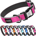 Reflective Dog Collar with QR Code Tag, Personalized Dog Collar, Safety Night Visibility, Anti-Loss Function (Rose Red-02, Medium)