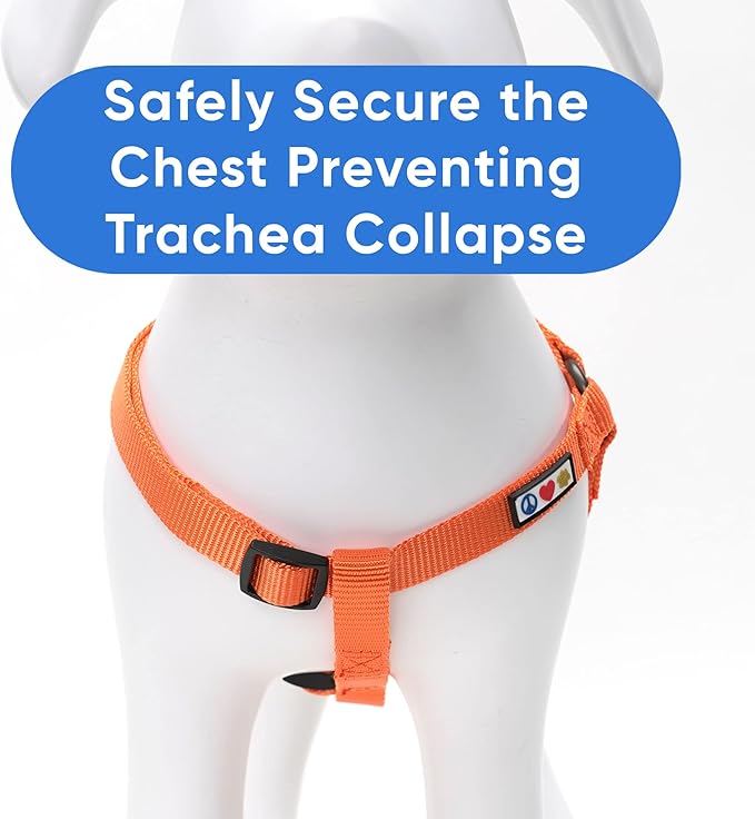 Pawtitas Solid Step-in Dog Harness – Adjustable No-Pull Vest for Puppies to Seniors, Safe & Comfortable L Orange