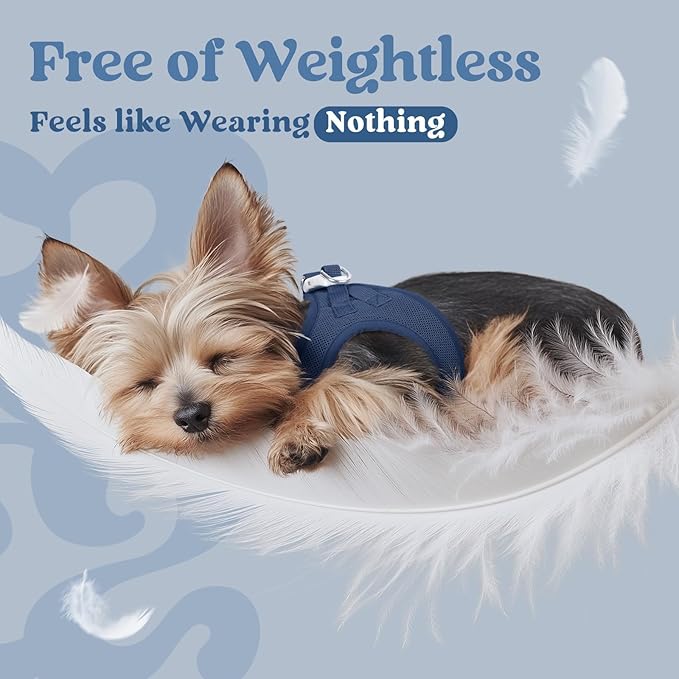 rabbitgoo Small Dog Harness, Step-in Soft Mesh Puppy Vest with Safety Buckle, Breathable Reflective Pet Harness for Small Sized Dogs, Navy Blue M