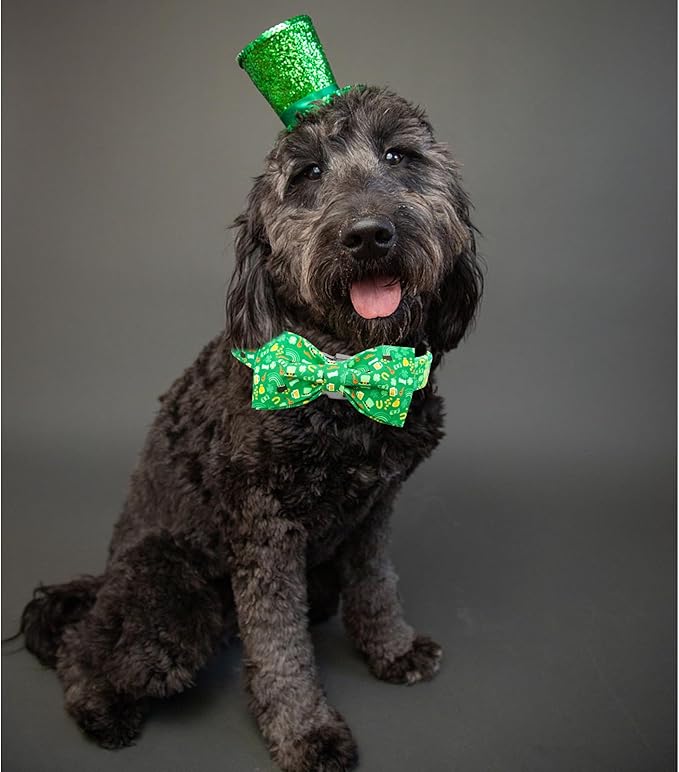 Lionheart Glory St. Patrick's Day Dog Collar for X-Small Dogs - Adjustable Green With Lucky Clover Shamrock and Bowtie