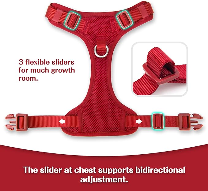 No Pull Dog Harness for Small Medium Large Dogs - Adjustable 2 Layer Mesh Dog Vest with Dual Clip, Escape Proof, Quick Release, Lightweight Breathable Mesh for Walking Hiking (Burgundy Red,M)