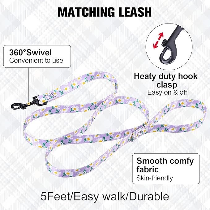 BEAUTYZOO No Pull Dog Harness and Leash Set - Adjustable Step-in Puppy Harness for Medium Large Dogs, Escape Proof Soft Nylon Vest with Double D Ring for Walking Running Training, Purple L
