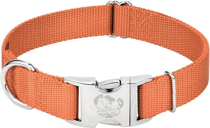 Country Brook Petz - Premium Nylon Dog Collar with Metal Buckle for Small Medium Large Breeds - 10+ Warm Colors (Medium, 3/4 Inch, Coral)