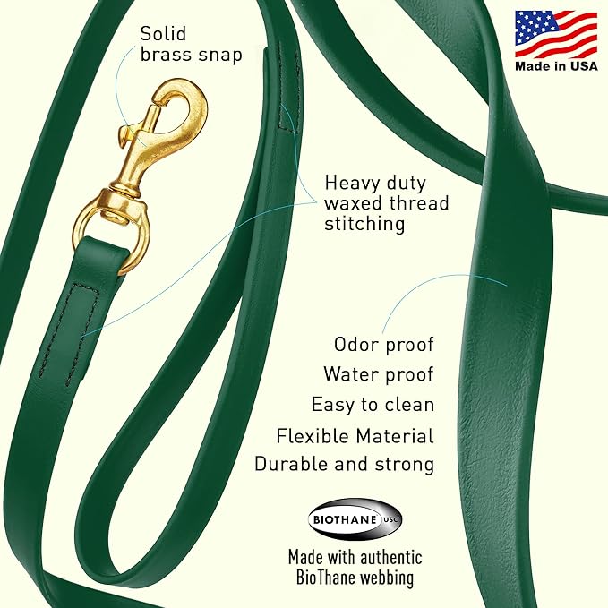 Viper Biothane K9 Working Dog Leash Waterproof Lead for Tracking Training Schutzhund Odor-Proof Long Line with Solid Brass Snap for Puppy Medium and Large Dogs, 10ft Hunter Green