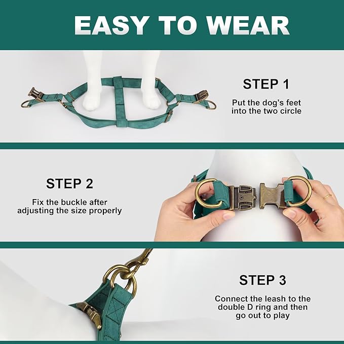 Didog Step in Dog Harness - PU Leather Dog Harness with Antique Bronze Metal Buckle, Easy Walk Dog Halter Harness for Medium Dogs Walking Training (Green, S: Chest 16-22")