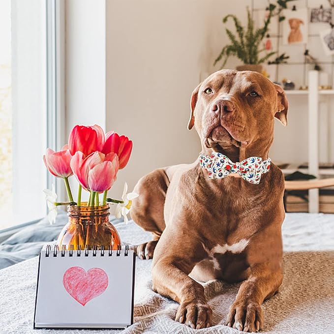 Elegant little tail Valentine's Dog Collar, Rose Print Dog Collar Cute Girl or Boy Puppy Collars Bowtie Pet Gift Adjustable Pet Collars for X-Small Dogs