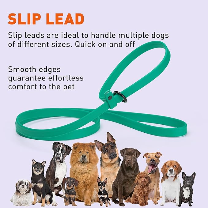 Dogline Biothane Slip Dog Leash - for Small, Medium and Large Dogs - Odor Free Slip Lead, Heavy Duty and Durable Material Kennel Lead - Teal - 5ft L x 3/8in W