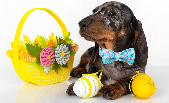 DOGWONG Cotton Easter Dog Collar with Bowtie, Soft Adjustable Blue Rabbit Easter Day Dog Collar Cute Egg Puppy Collar for Small Medium Large Dog
