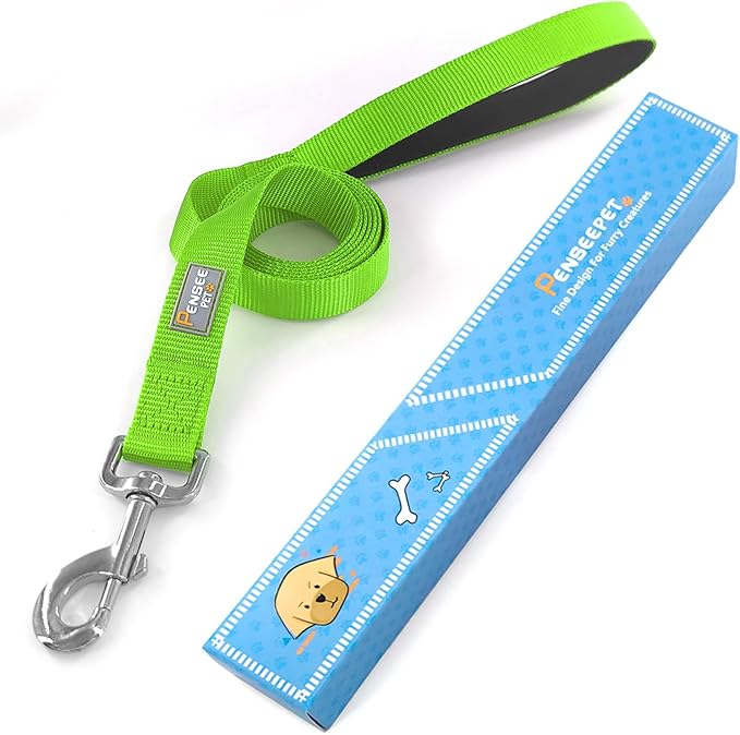 Basic Dog Leashes 6 FT Padded Handle Nylon Dogs Leashes for Small Dogs Green
