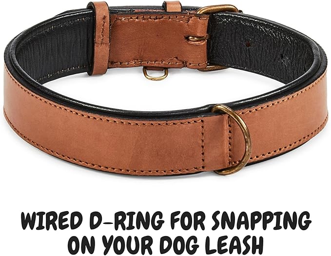 Real Leather Dog Collar Padded Soft Interiors with Premium Vintage Look Handcrafted Heavy Duty with Tag Ring for Small Medium and Large Pets (Large (1.5" Wide for 16.5" - 20.5" Neck), Cognac)