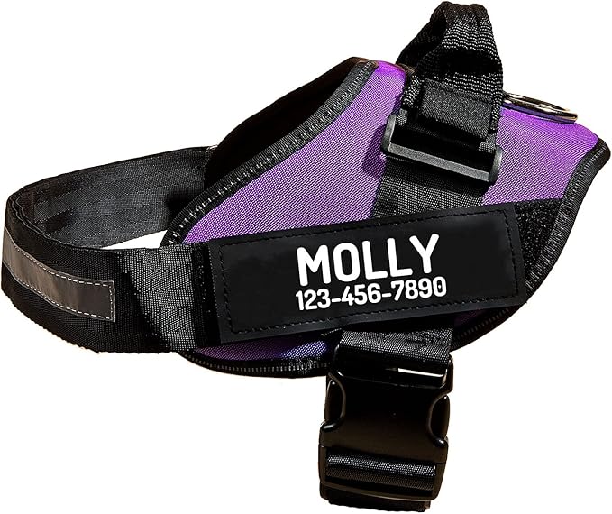 PawPawify Personalized No Pull Dog Harness with 2 Custom Name & Phone Patches, Reflective Breathable Pet Vest for Walking Training, Adjustable Heavy Duty Service Dog Vest for Small Medium Large Dogs
