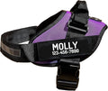 PawPawify Personalized No Pull Dog Harness with 2 Custom Name & Phone Patches, Reflective Breathable Pet Vest for Walking Training, Adjustable Heavy Duty Service Dog Vest for Small Medium Large Dogs