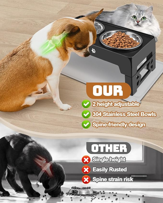 Elevated Dog Bowls, Dog Feeder with 2 Stainless Steel Dishes, 2 Heights Adjustable Raised Stand for Small Dogs, Food Dishes with Non-Slip Feet